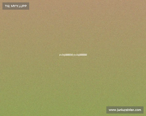 pubg电子竞技b服-pubg电竞模式规则